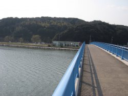 青島側から見た湖山池情報プラザ。