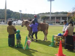 乗馬コーナー